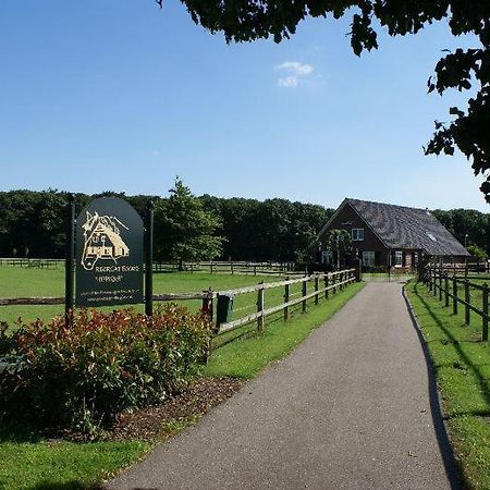 Recreatieoord Hippique Villa Westendorp Eksteriør bilde