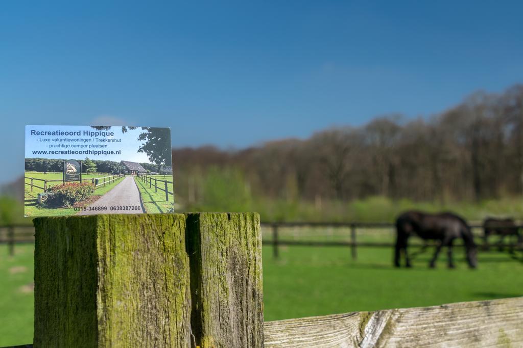 Recreatieoord Hippique Villa Westendorp Rom bilde