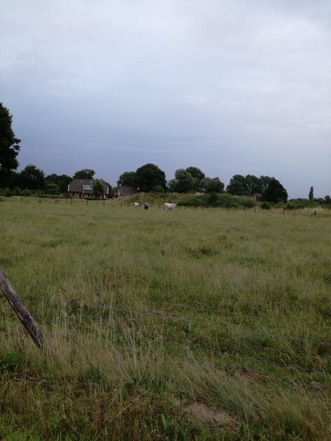 Recreatieoord Hippique Villa Westendorp Eksteriør bilde