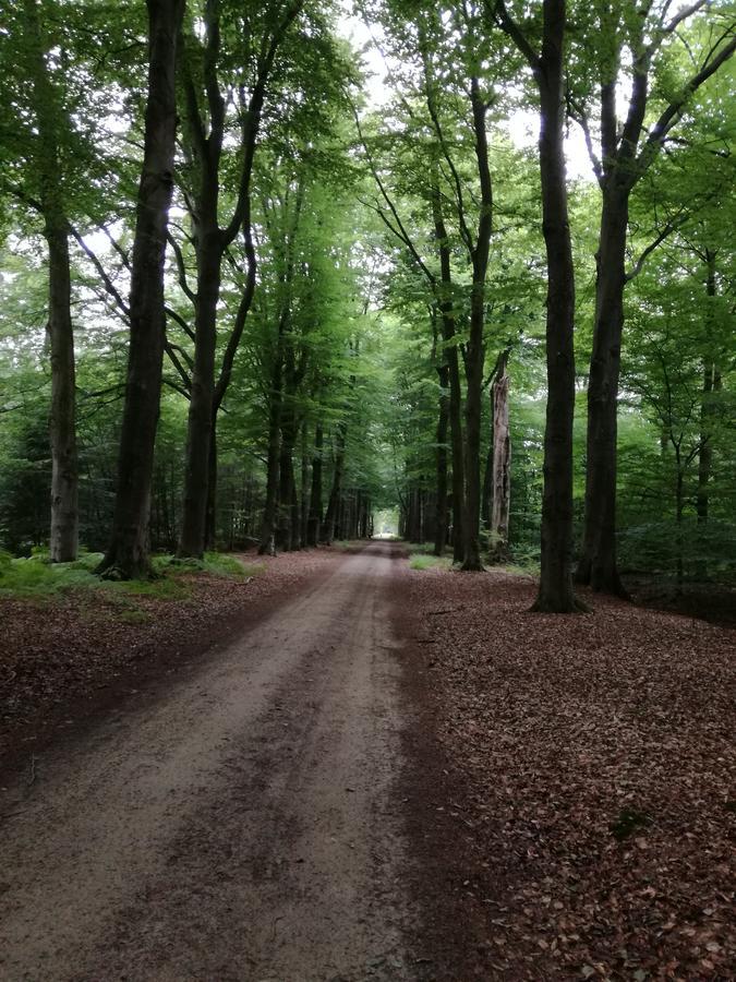 Recreatieoord Hippique Villa Westendorp Eksteriør bilde