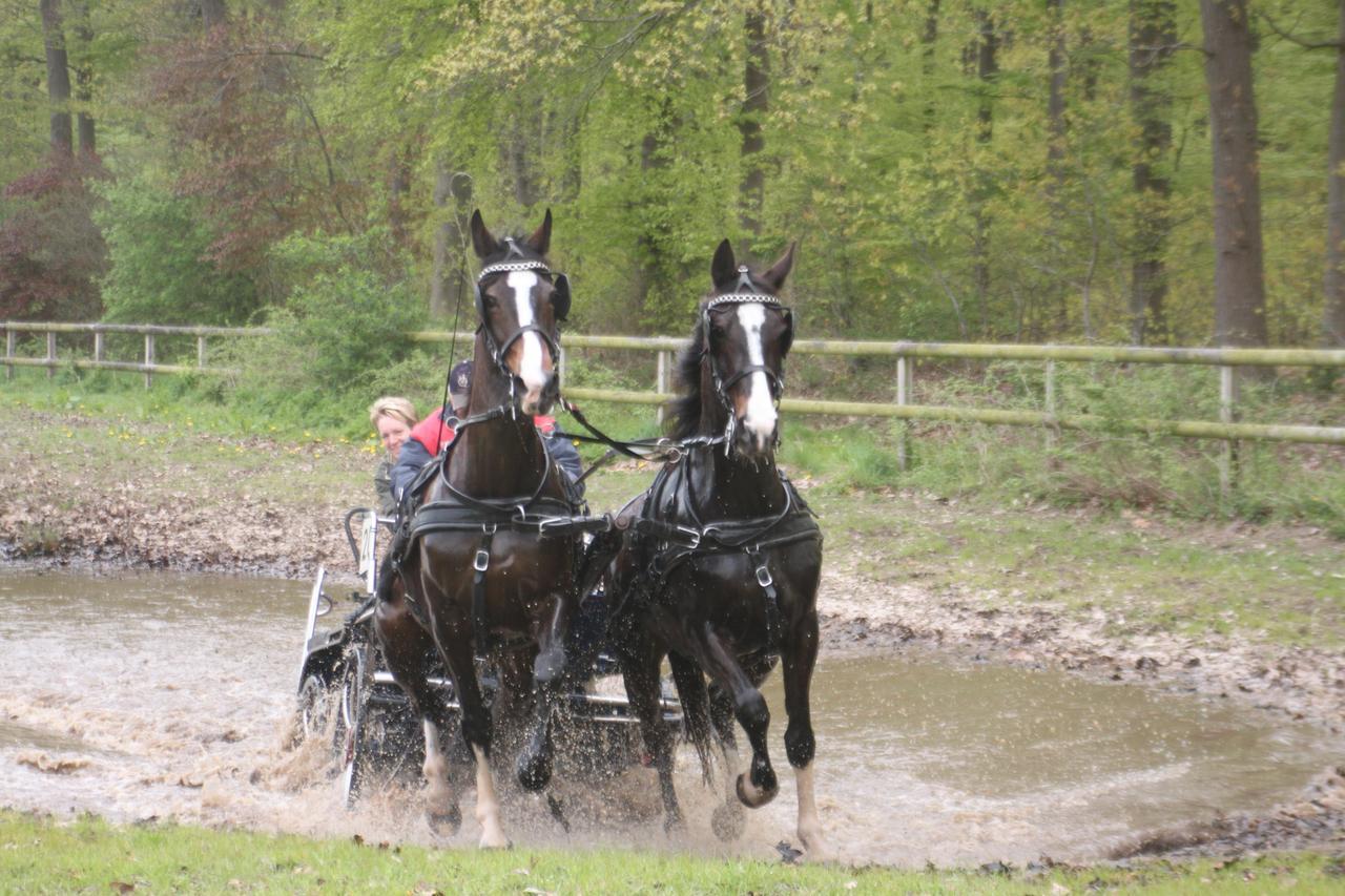 Recreatieoord Hippique Villa Westendorp Eksteriør bilde